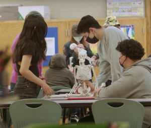 SLCSE students learning with a skeleton